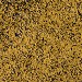 Load image into Gallery viewer, Weathered Gold Embossing Powder - Seth Apter
